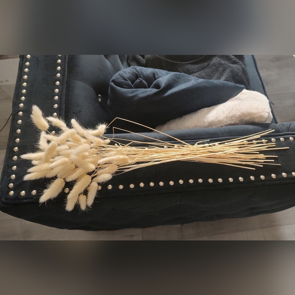 Pampas Grass Bunny Tails 40pcs Bundle